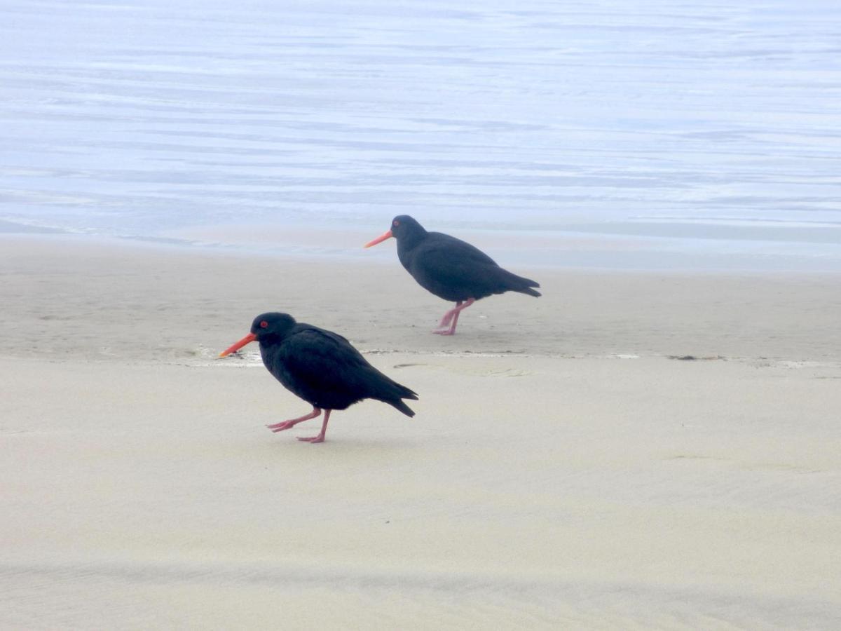 Catlins Lake Sanctuary Owaka Buitenkant foto