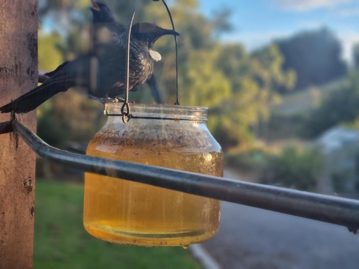Catlins Lake Sanctuary Owaka Buitenkant foto